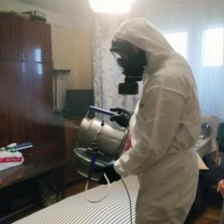 Дезинфекция от клопов в Новосокольниках