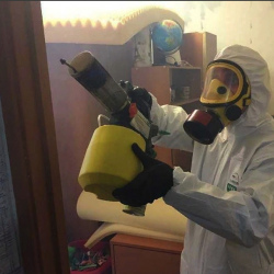 Уничтожение клопов в квартире. Новосокольники